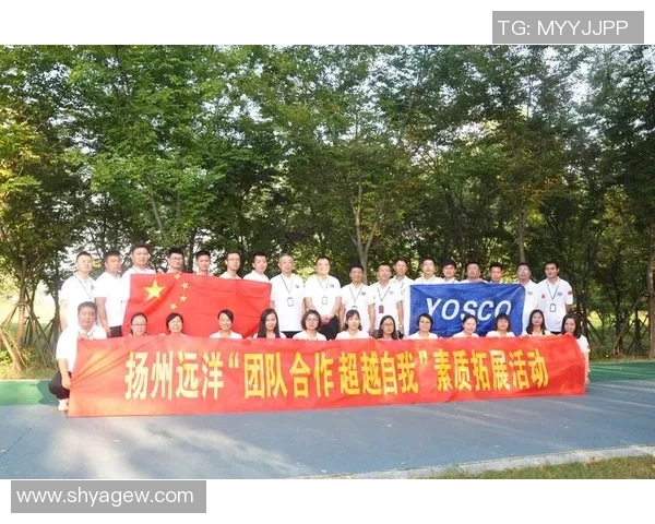 深圳羽毛球队在全国团队协作排行榜中荣获第九名展现强大实力与团队精神