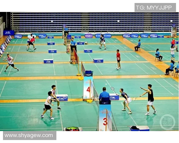 重庆排球队的拼搏之路洲际杯背后的奋斗与荣耀